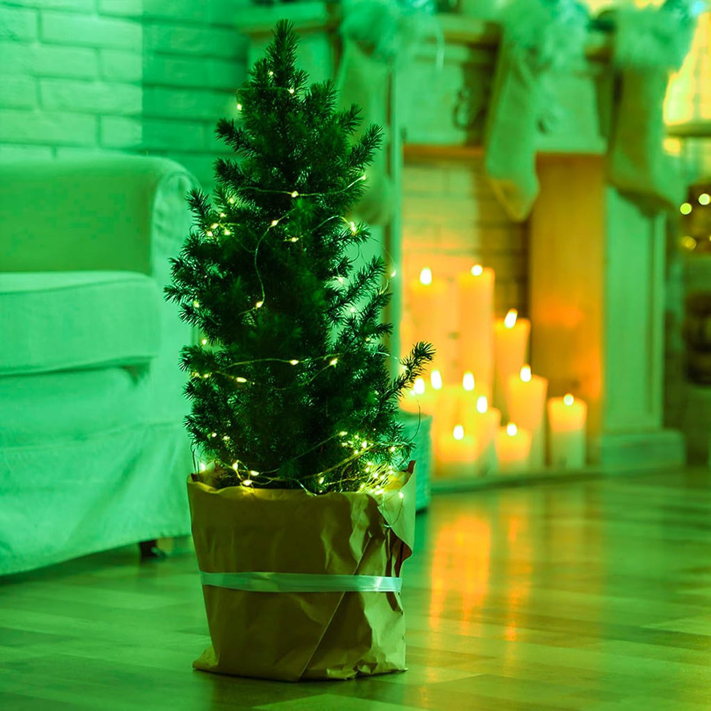 4 Pack Green Fairy Lights Battery Operated with Remote, Waterproof 20FT 60LED Cuttable Twinkle Lights with Timer Indoor Outdoor, String Light for Bedroom, Classroom, Wedding, DIY, Christmas Décor