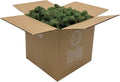 Preserved Reindeer Moss - Moss for Crafts, Home Decor, Art, Design & DIY Projects - Non-Toxic - USA Made (Basil, Standard Box)