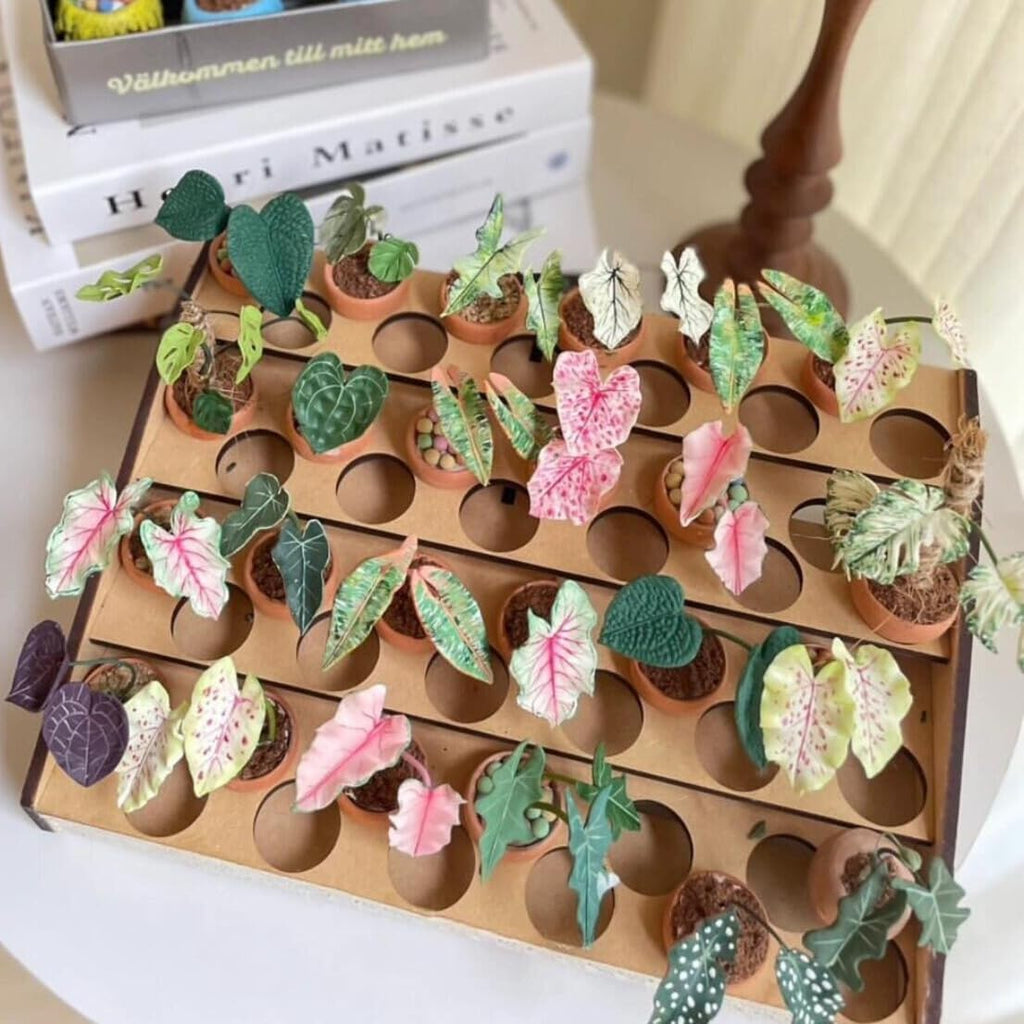 Mini Terracotta Pots – Small Clay Flower Pots for Succulents, Cactus, DIY Crafts, Fairy Garden, School Projects, Mini Planters, Set of 30 (Classic Cylinder, 1 Inch)