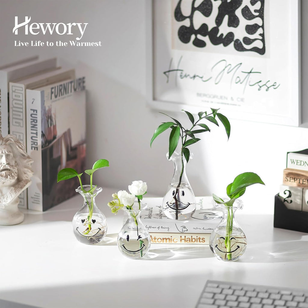 Hewory Smiley Face Glass Planter: 4 PCS Cute Propagation Stations for Hydroponic Plants Cutting Flowers - Clear Terrarium Propgation Vases Jars for Home Office Decor Plant Lover Gifts