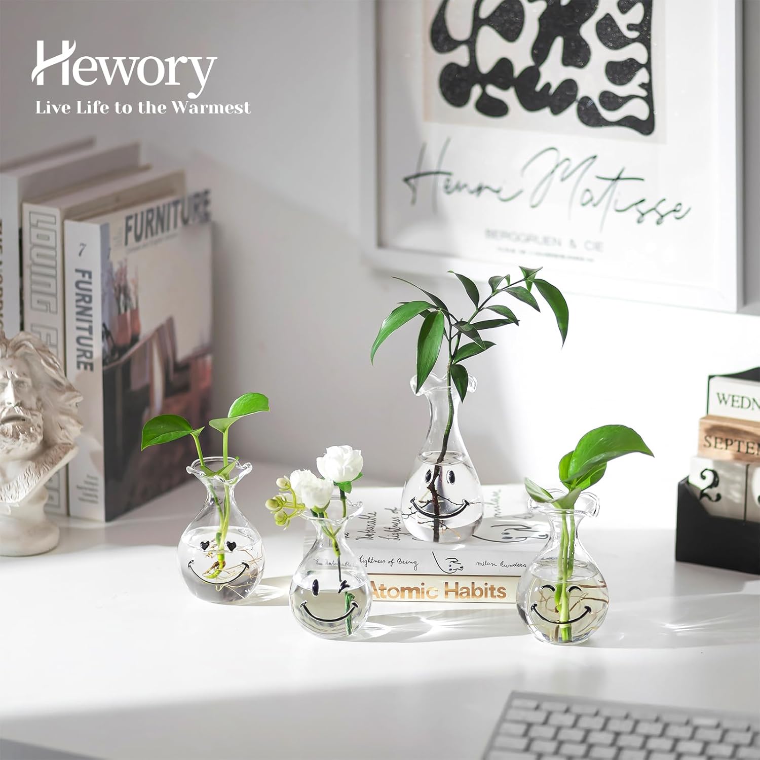 Hewory Smiley Face Glass Planter: 4 PCS Cute Propagation Stations for Hydroponic Plants Cutting Flowers - Clear Terrarium Propgation Vases Jars for Home Office Decor Plant Lover Gifts