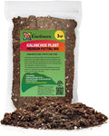 Gardenera Kalanchoe Plant Premium Potting Mix - Maintain Ideal Air and Moisture Balance for Success - 3 Quart