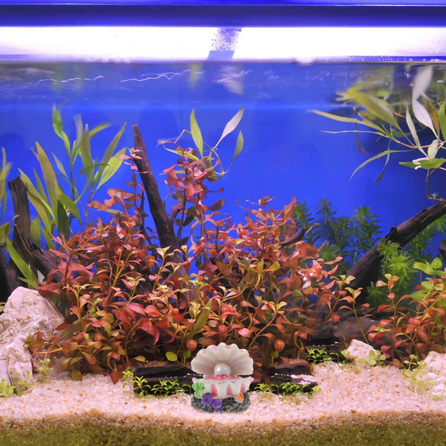 POPETPOP Aquarium Bubbler Decorations : Resin Sea Shell Pearl Fish Tank Ornaments with Air Stone for Fish Tank Landscape