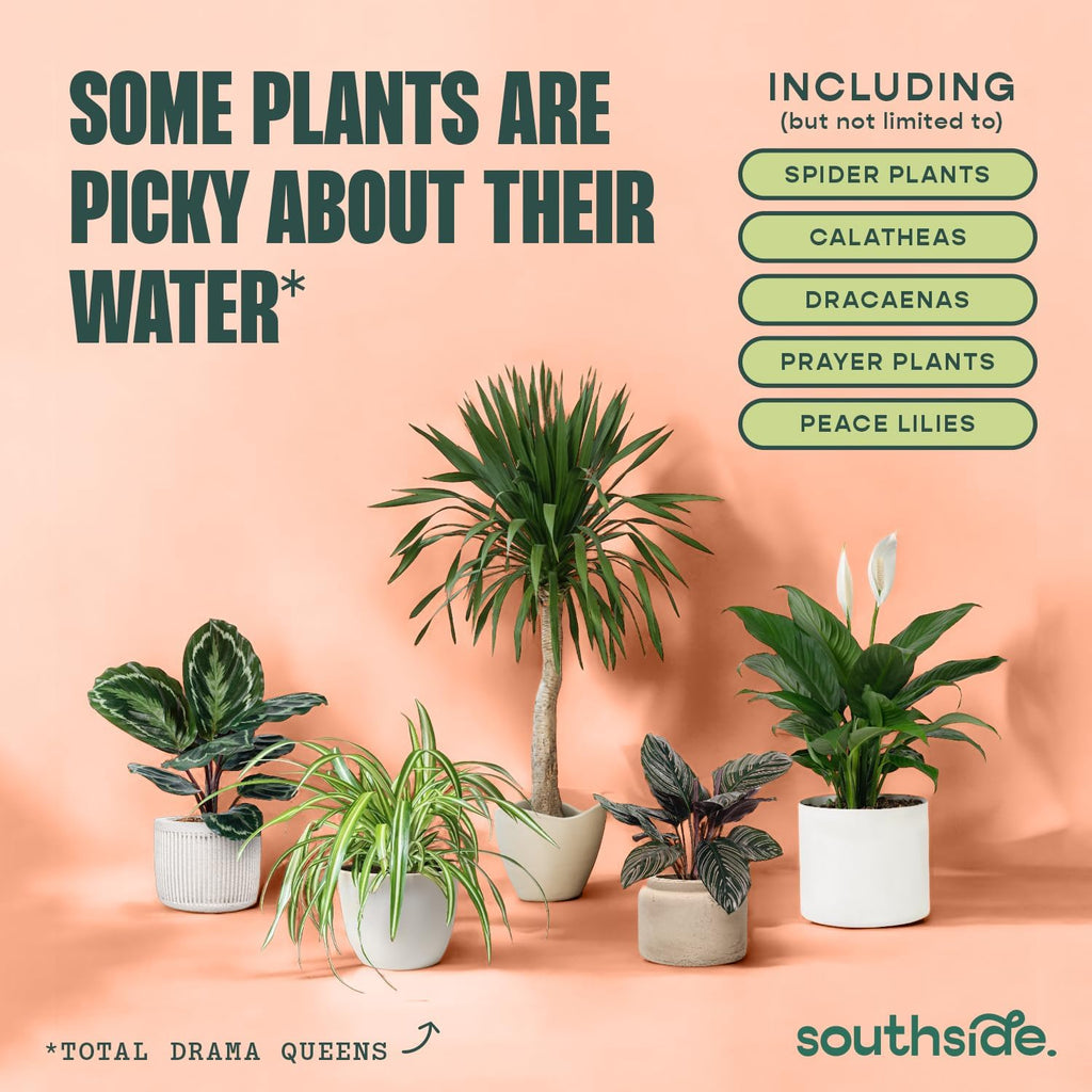 Southside Plants Tap Water Conditioner for Houseplants & Hydroponics - Remove Chlorine, Chloramines & Heavy Metals, Buffers pH - 8 Oz