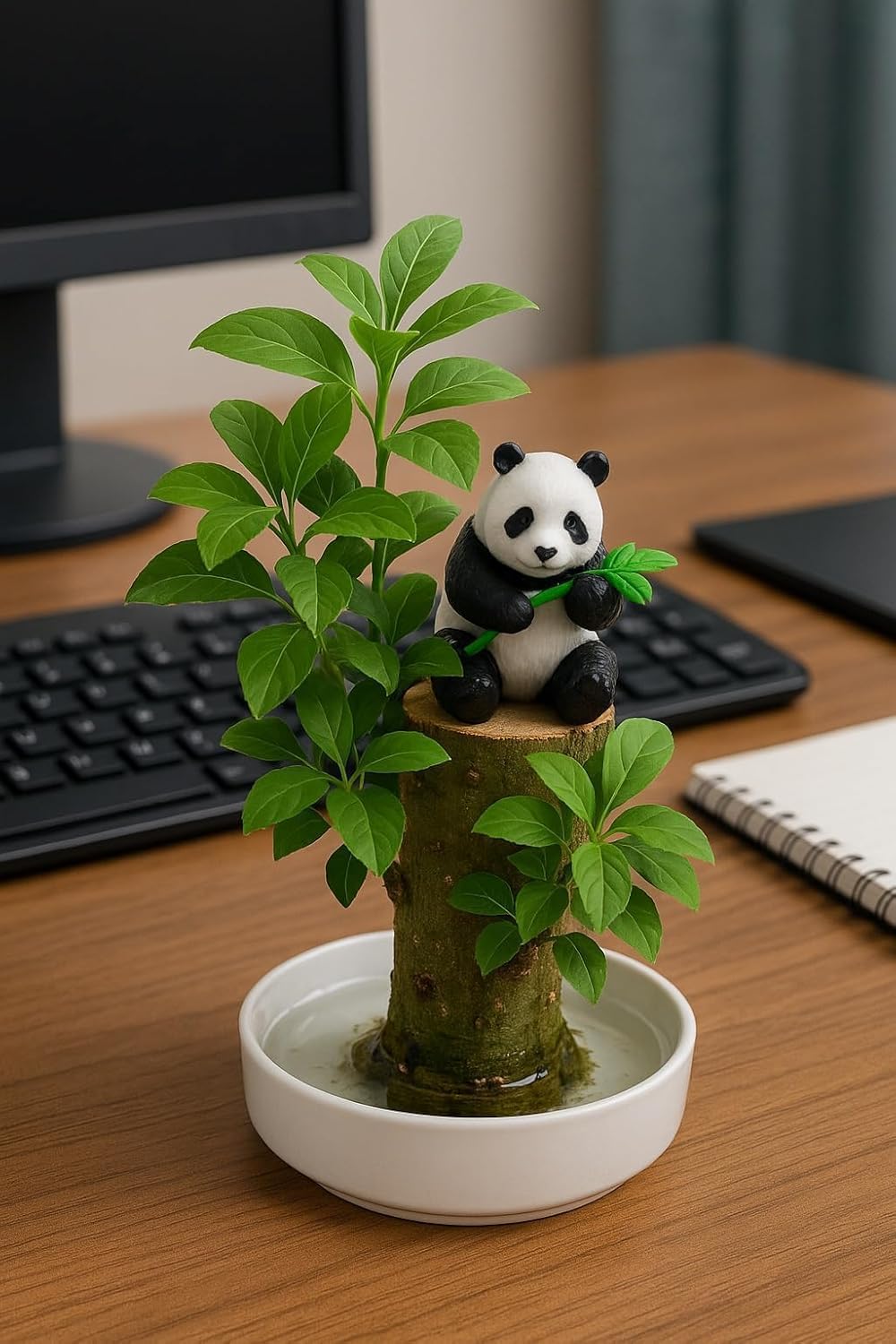 Brazilian Willow Wood Plant - Mini Brazil Lucky Wood Kit - Tray, Lucky Tree, Panda - Swelling Stage - About to Sprout, Brazilian Tree Housewarming - Office Desk Decor - Office Gift Exchange