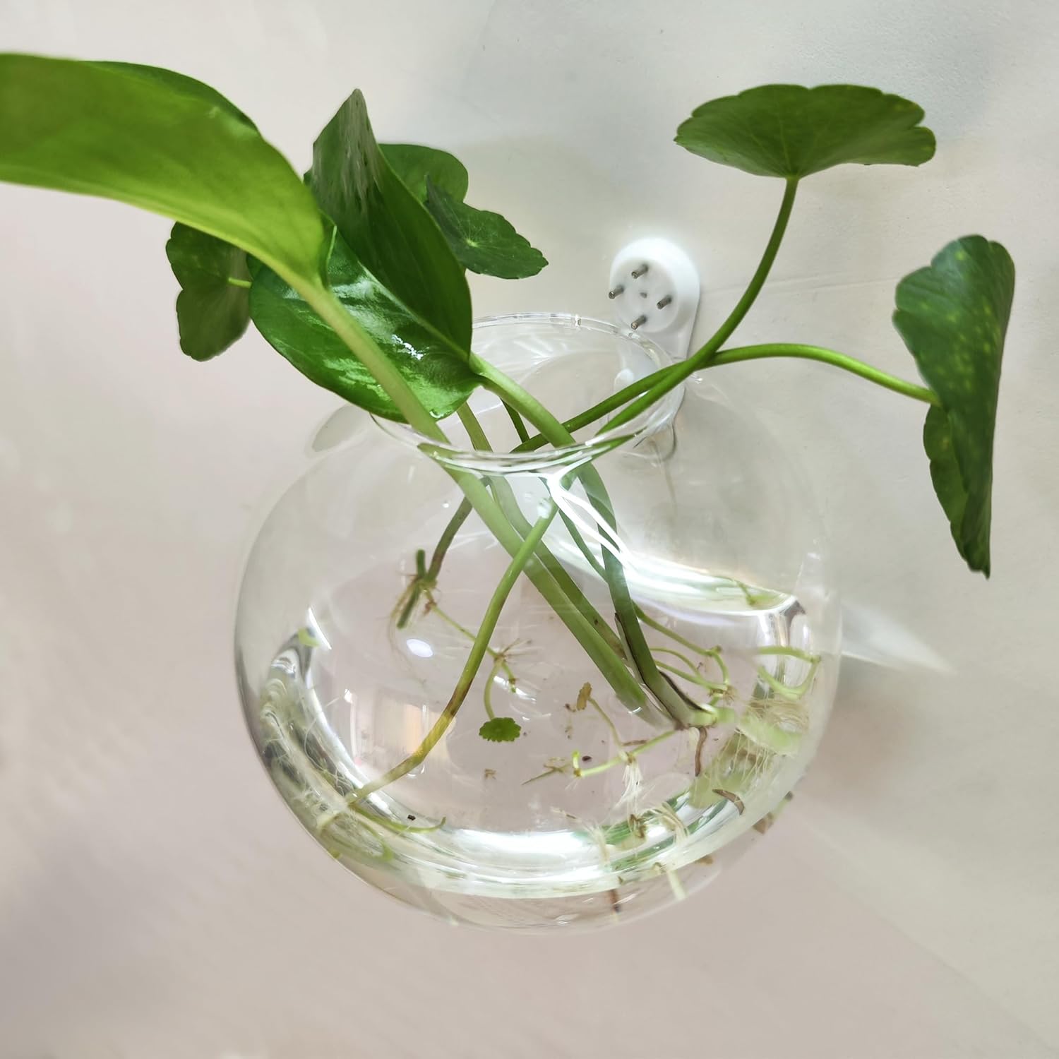 4 Pack Hanging Wall Vases, Glass Hainging Planter Propagation Station Terrarium, 4.7" Globe Wall Planters for Indoor Plants,Home Decor