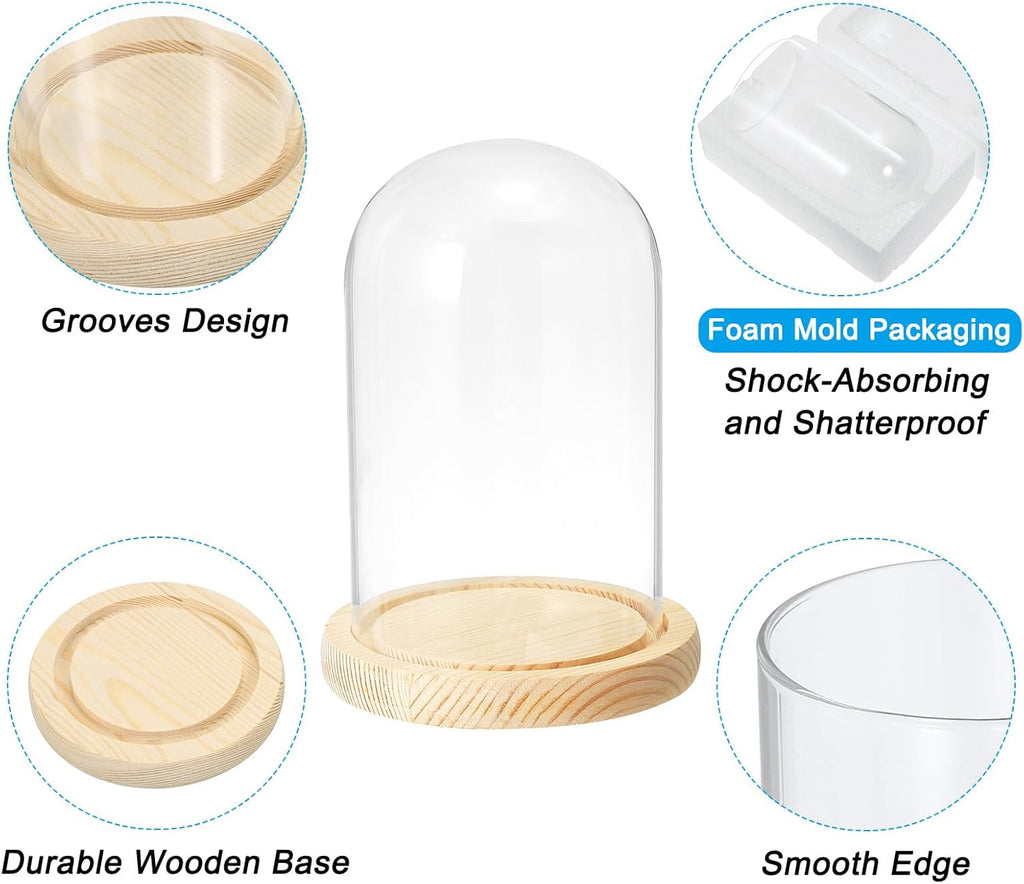 PATIKIL 6.3"x3.9" Clear Cloche Glass Dome, Glass Bell Jar Display Case Tabletop Centerpiece with Wooden Base for Plants Home Decor