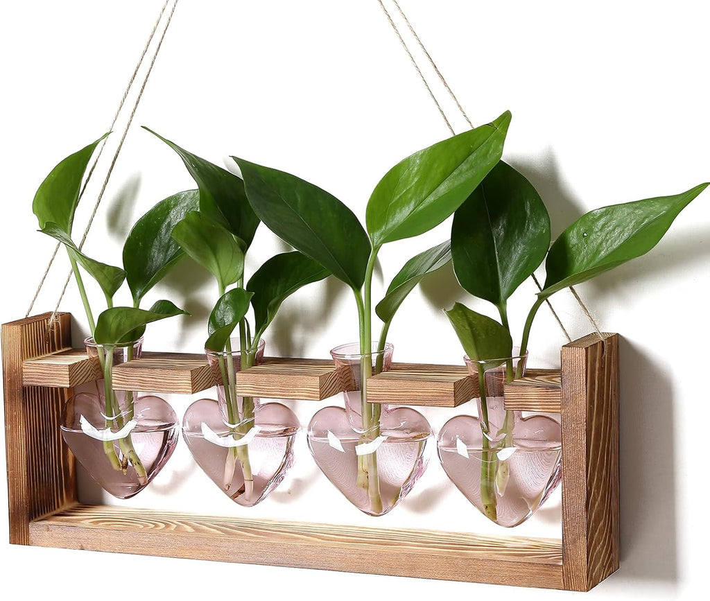 Heart Plant Terrarium Kit Gift for Women Plant Lover Glass Vases