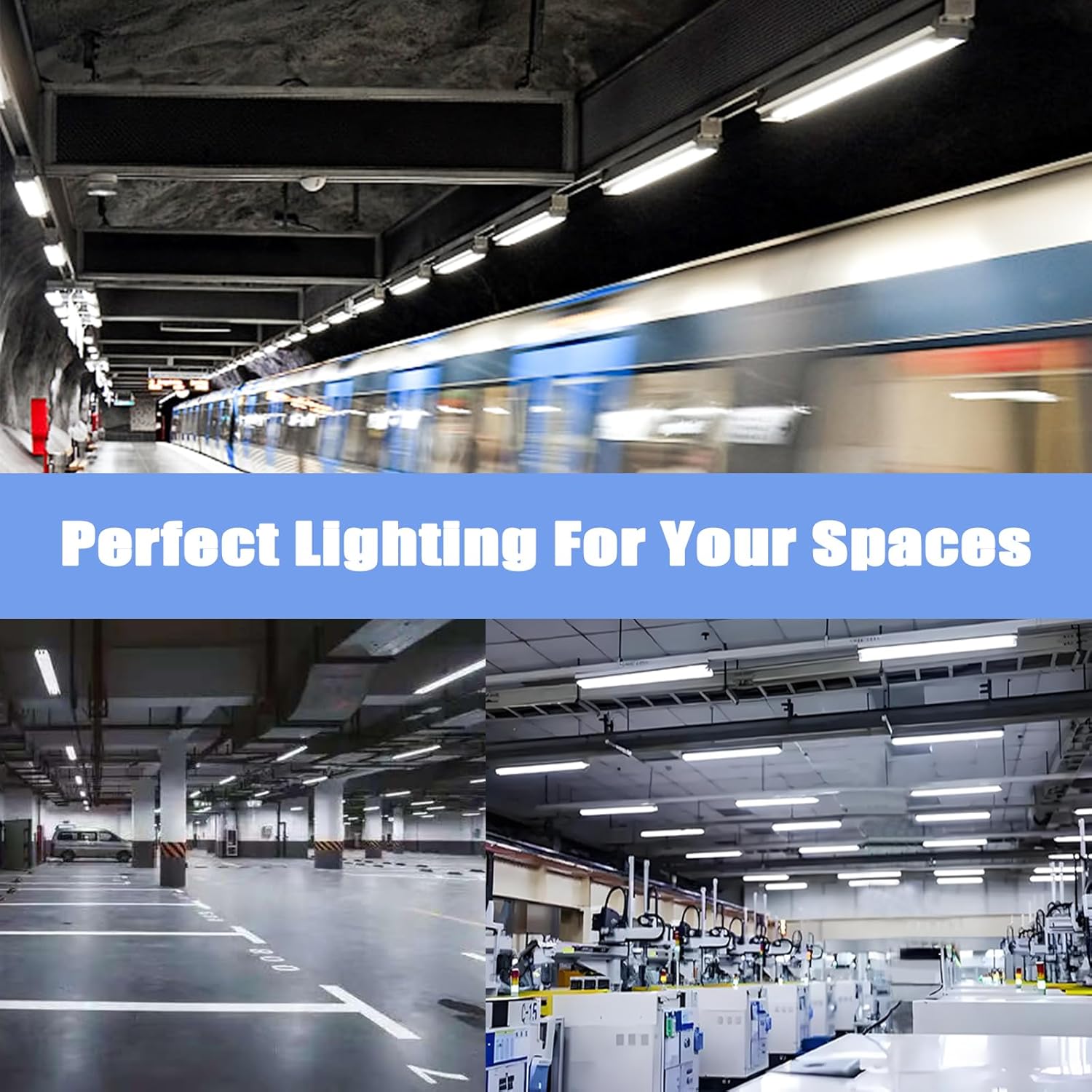 48 Inch F40T12/DL 40W 6500K Daylight Fluorescent Light Bulbs, 4ft T12 Linear Tube Lights F40T12/865, 2650 Lumens, G13 Bi-Pin 12 Pack