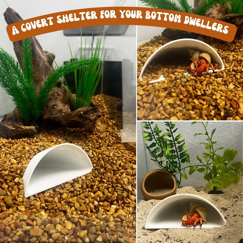 REEFSHAPE Aquarium or Terrarium Pocket Cave | Minimalist Shelter Cave for Fish, Shrimp, Reptiles, Amphibians, & More! | Made in USA (Pocket Cave, White)