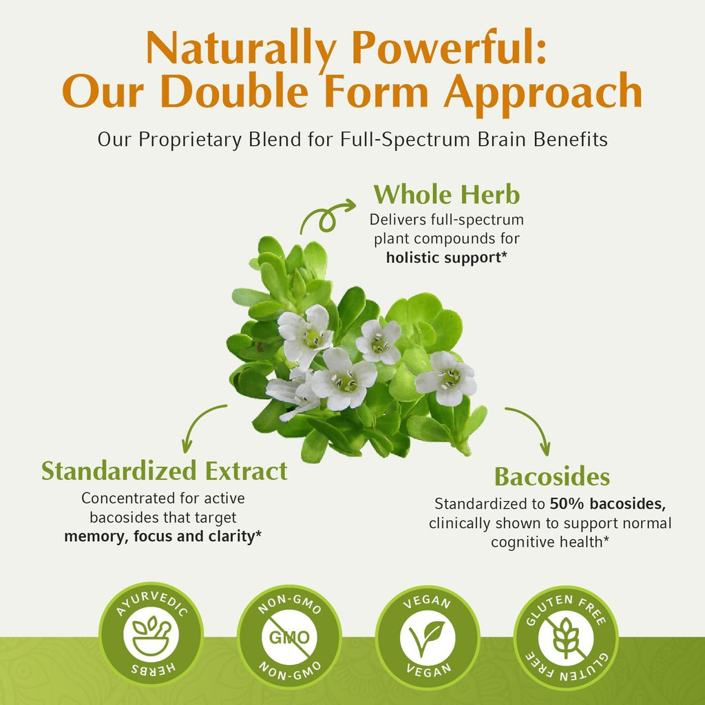 Jiva Botanicals Bacopa Monnieri Supplement Pure 1000mg per Serving - High Potency Bacopa Monnieri (Brahmi) & Extract for Normal Brain, Focus, & Memory Support - Ayurvedic Herbs - 60 Capsules
