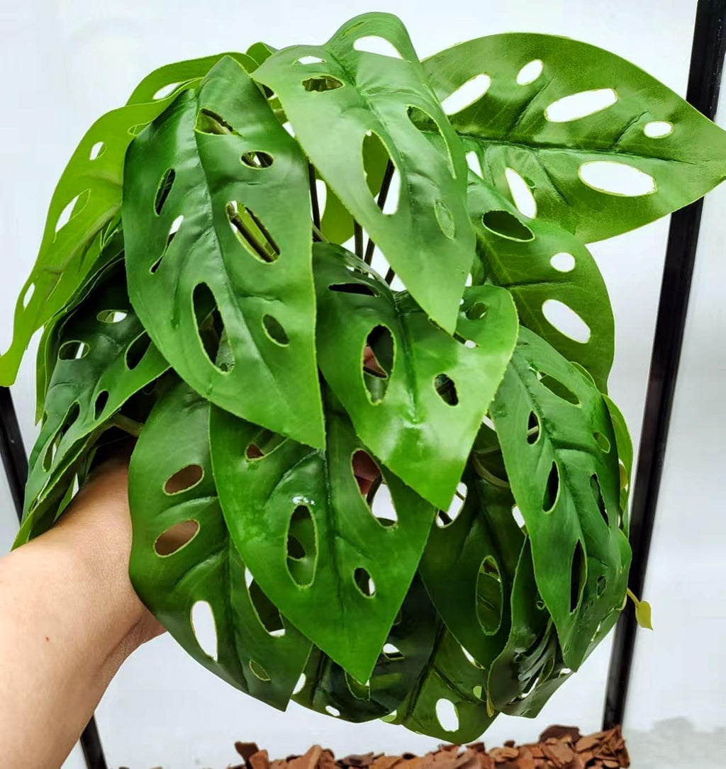 Reptile Plants for Terrarium Decor,Amphibian Habitat Decor, Bearded Dragon Tank Accessories,Artificial Plants for Gecko Chameleon Snake Tortoise with Base (Swiss Cheese)