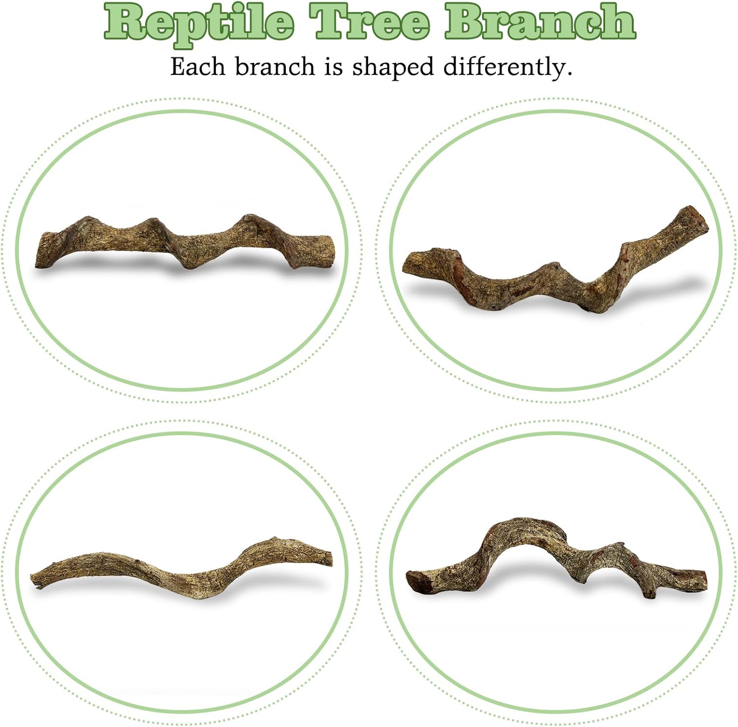 Reptile Climbing Decor 2 Pack Thick Wood Branches Snake Habitat Decorations Terrarium Wooden Tree Trunk Ornament for Bearded Dragon Lizard Snake Geckos Chameleon Frog