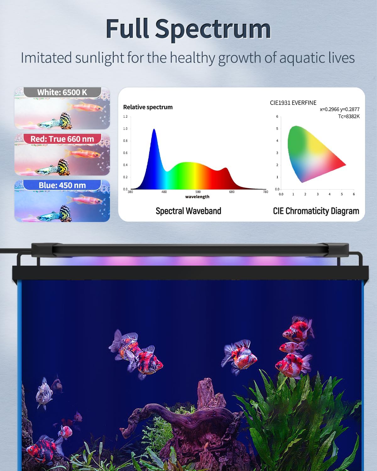 Pawfly 33W Aquarium LED Light for 48 to 54 Inch Extendable Fish Tank Light with Full Spectrum Brilliant White Blue Red Lights with Daytime & Night Modes Timer Auto On/Off Adjustable Brightness