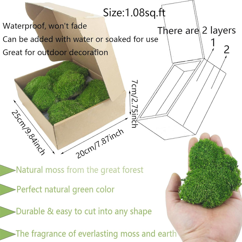 Preserved Pillow Moss Bulk Green Moss Balls for Bowls Waterproof 1.08 sq.ft Natural Green Decorative Preserved Pole Moss Pillow for Wall Art Terrariums Crafts Fairy Gardens Pot Plants Easter