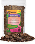 Gardenera Premium Madagascar Palm Potting Mix - Crafted for Thriving Growth and Unique Elegance - 1 Quart