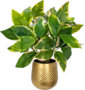 Oairse Articicial Plants Indoor Small Fake Plants in Pots Faux Pothos N‘ Joy Potted Plant Fake Indoor Plants with Gold Pots for Bathroom Living Room Office Desk Shelves