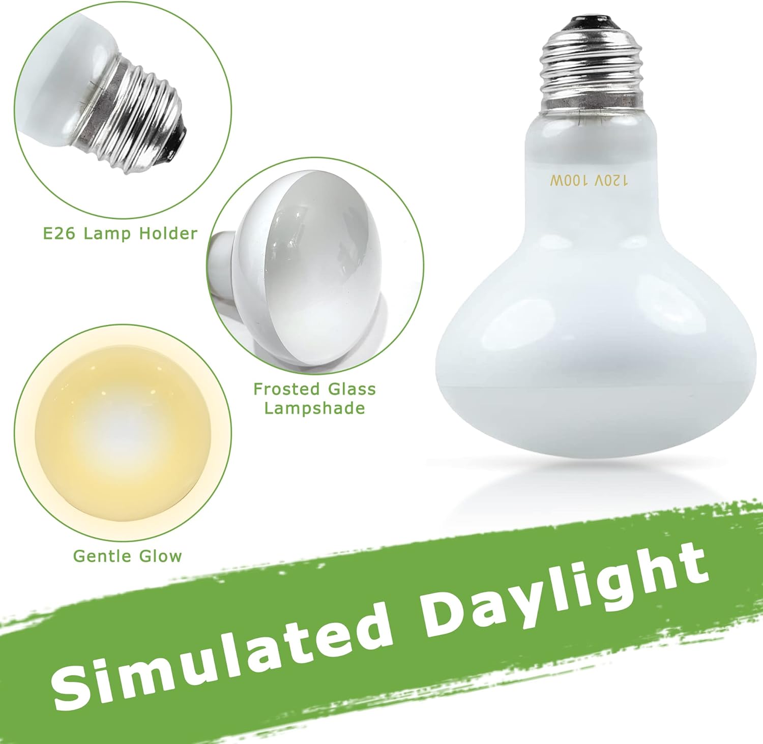 Reptile Heat Lamp Bulbs 100W E26 - UVA Basking Spot Light for Reptiles - Simulated Sunlight Terrarium Heat Lamps - Ideal for Bearded Dragon, Lizard, Tortoise, chickss and More | Pack of 2