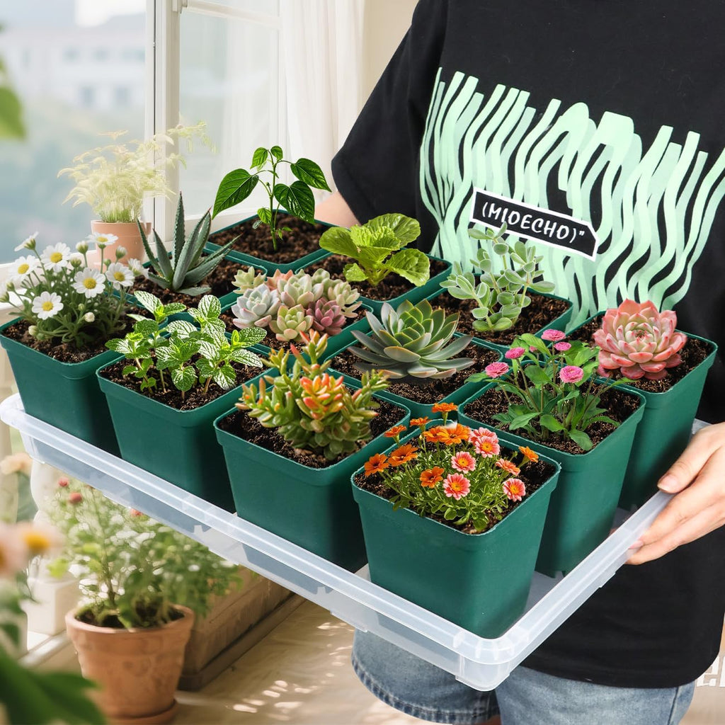 Clear Seed Starter Trays 5 Pack(17"x11"x2"), Reusable Plastic Carrying Seedling & Nursery Trays, Durable Flat Pots Trays, Transparent Square Tray for Planting and Collecting Drainage Water