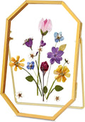 Glass Pressed Flower Frame Handmade, Octagon, 4x6 inches, Gold