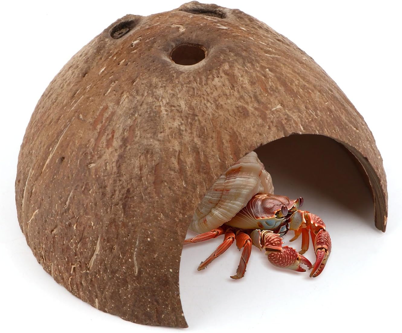 Hypeety Natural Coconut Reptile Habitat Hideout for Reptile, Lizard, Spider, Snake, Aquarium, Fish Hide Cave Hermit Crabs, Hamsters Natural Coco Hut Organic Non-Toxic Aquarium Decoration