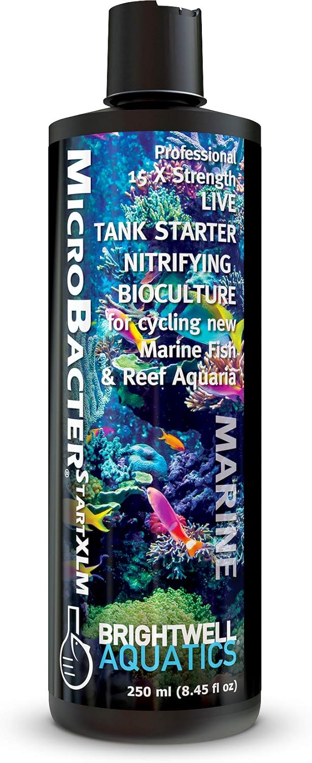 Brightwell Aquatics MicroBacter Start XLM - Concentrated Saltwater Nitrifying Bacteria - Quick Start Fish Tank Starter, Lift Microbe Levels & Water Filtering - Marine Aquarium Treatments, 8.45 fl oz