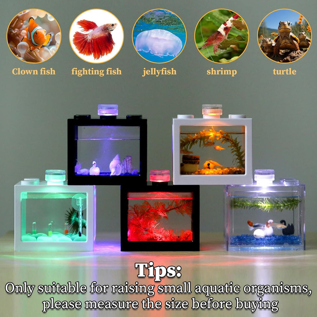 QTLCOHD 4Pcs Small Betta Fish Tank, 0.6 Gallon Stackable Mini Aquarium Tank, Rectangular Fish Bowl for Turtle, Reptile, Shrimp, Crab, Insects, Decoration (Black), Clear
