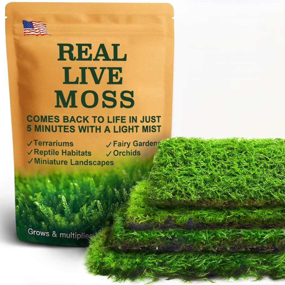 Real Live Moss – 4 Types Live Moss for Terrariums, Fairy Gardens, Reptile Habitats & Mini Landscapes | Revives in 5 Minutes with Water Mist, Soft Green Texture, Easy to Grow (4-Pack, 3.5”x7”)