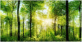 3D Effect Adhesive Forest Poster for Aquarium Fish Tank Decoration - Poster for Aquarium Poster for Fish Tank Easy Peel and Stick (122 * 50cm)