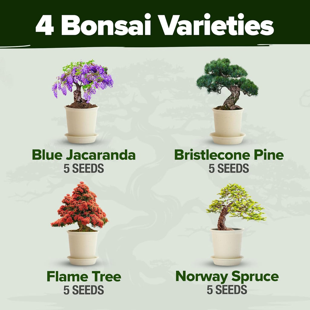 Bonsai Tree Kit Gifts for Men & Women - Grow 4 Bonsai Trees - Unique Gardening Crafts for Adults, DIY Hobbies for Plant Lovers & Gardeners - Unusual Christmas Gift Ideas for Mom & Dad