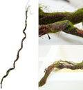70.9inch Fake Long Craft Tree Vines Artificial Tree Branches Trunk Ivy Foliage Floral Leaf Garland Plants Wistera Twigs for Wall Hanging Outdoor Room Front Door Home Halloween Decoration