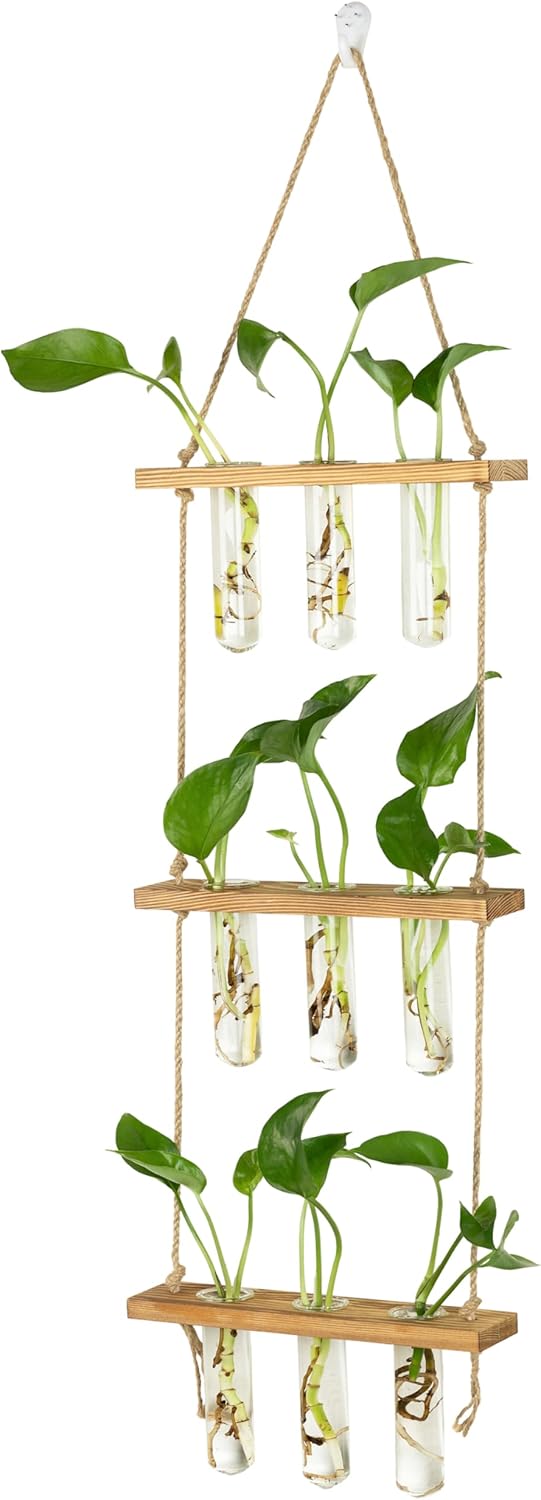 Wall Hanging Propagation Stations 3 Tired Wall Planter Terrarium with Wooden Stand and Glass Test Tubes Plant Hanger Flower Vase for Home Office Wall Decor Hydroponic Cuttings