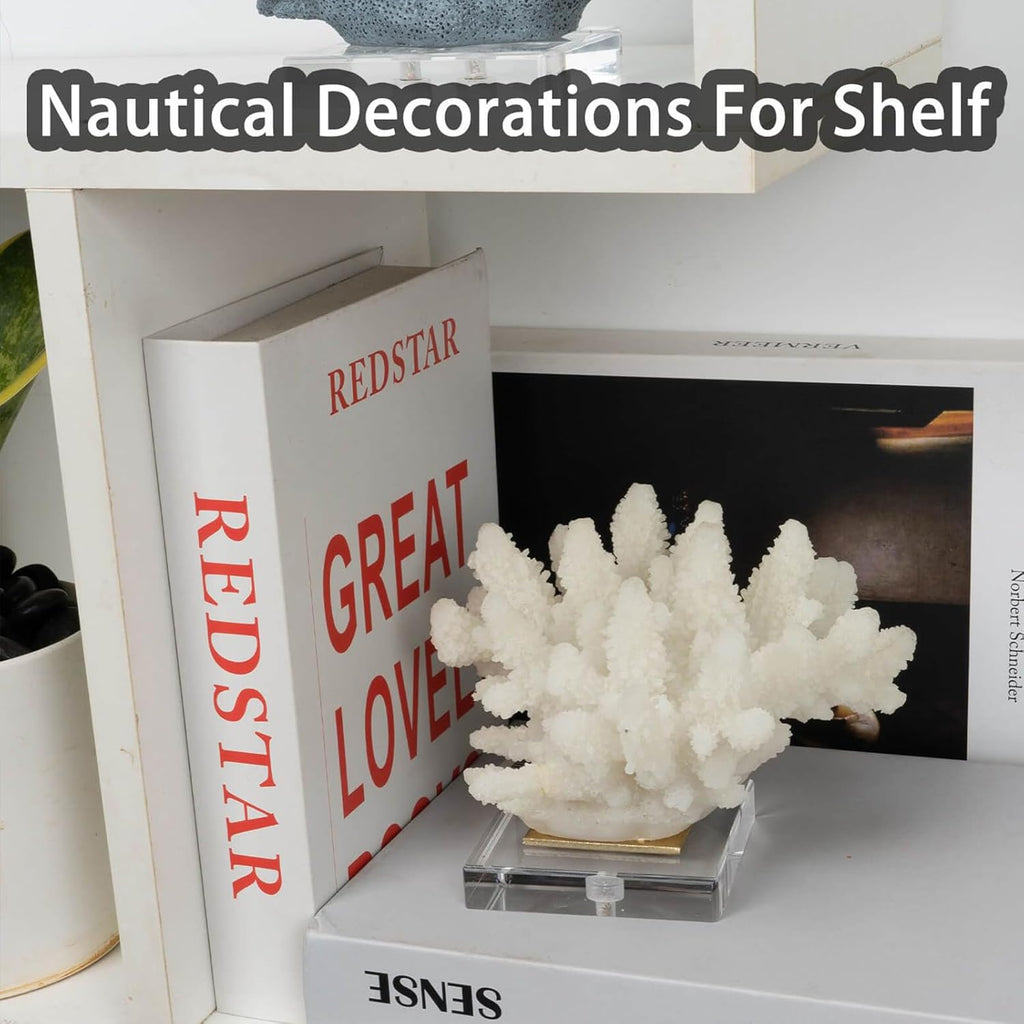 Faux Coral Decor - Resin Coral Home Decor with Acrylic Base - White