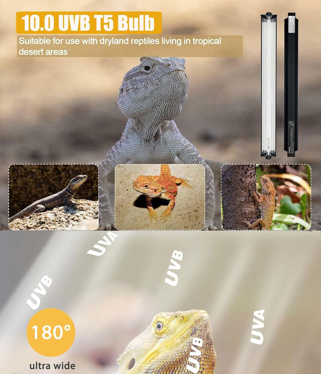 24W T5 UVB Reptile Light Fixture Combo Kit – 10.0 UVB Fluorescent Tube for Bearded Dragons, Lizards & Tortoises – UVA UVB Reptile Light, 22" Terrarium Hood (UVB 10.0-Desert, 22INCH-24W)