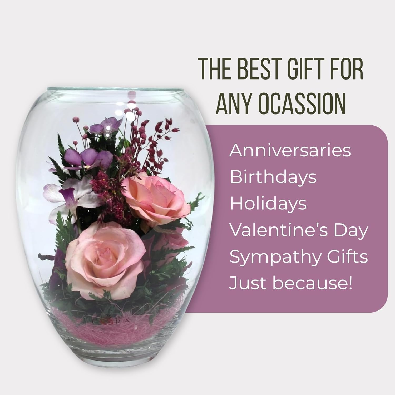 Fiora Flower | Premium Preserved Roses in Glass Vase | Lasts 5 Years | Long-Lasting Real Roses for Christmas, Weddings, Birthdays