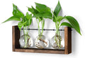 YIBOT Wall Hanging Planter Propagation Station Glass Flower Vase for Hydroponics Plants, Plant Terrarium with Wooden Stand, Bathroom, Home Office Living Room Decor Gift