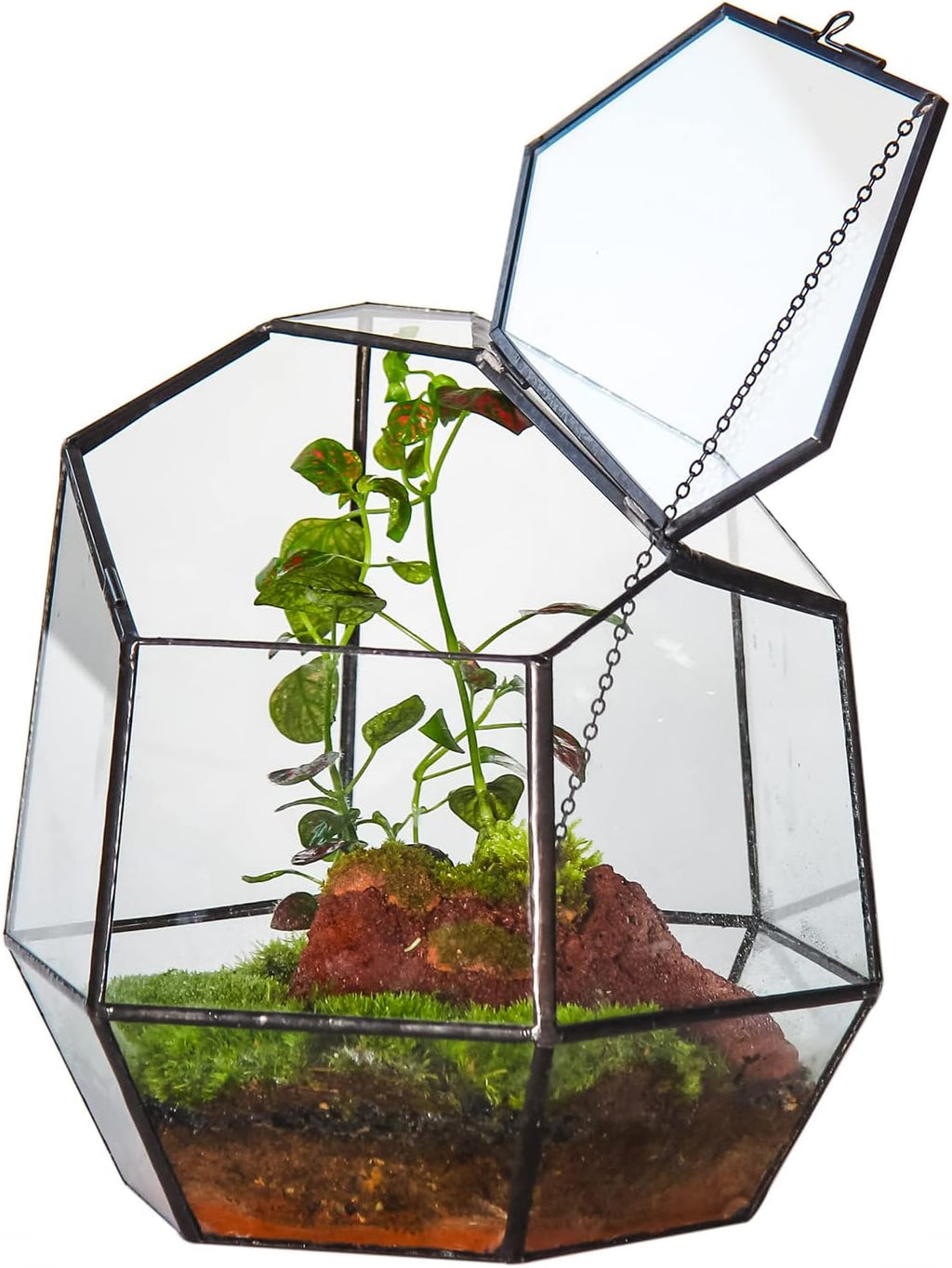 NCYP Handmade 7.5inches Small Close Geometric Terrarium with Door, Black Irregular Glass Planter, Modern Succulent Cacti Flower Pot, Home Garden Decor DIY Gift (Plants and Props NOT Included)