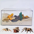 PC Reptile Terrarium, Hermit Crab Tank, Jumping Spider Enclosure, Tarantula Enclosure, Suitable for Gecko, Leopard Gecko, Tree Frog, Lizard, Praying Mantis Habitat Tank Starter (Small)