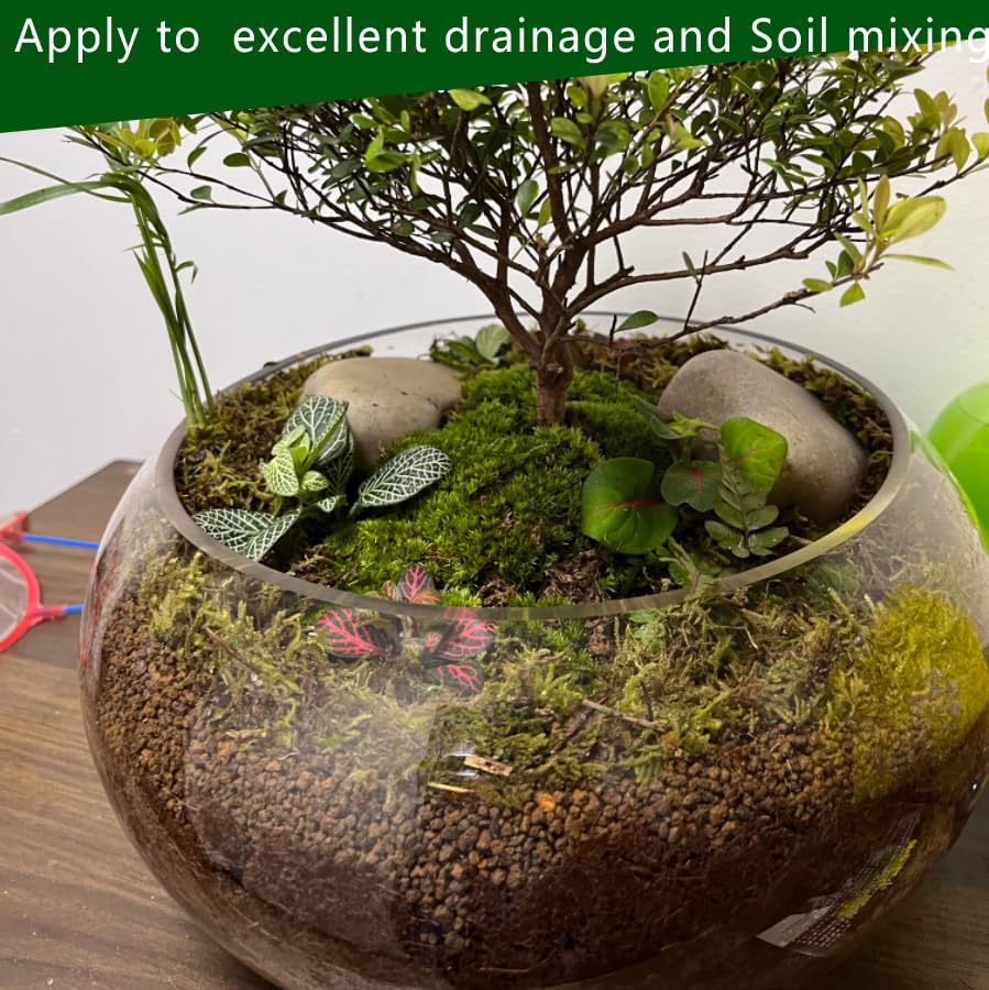 Gardening Akadama Soil - Cactus, Bonsai, Succulent Soil Additives Landscaping Vase Fillings (1/8 inch, 2 QT)