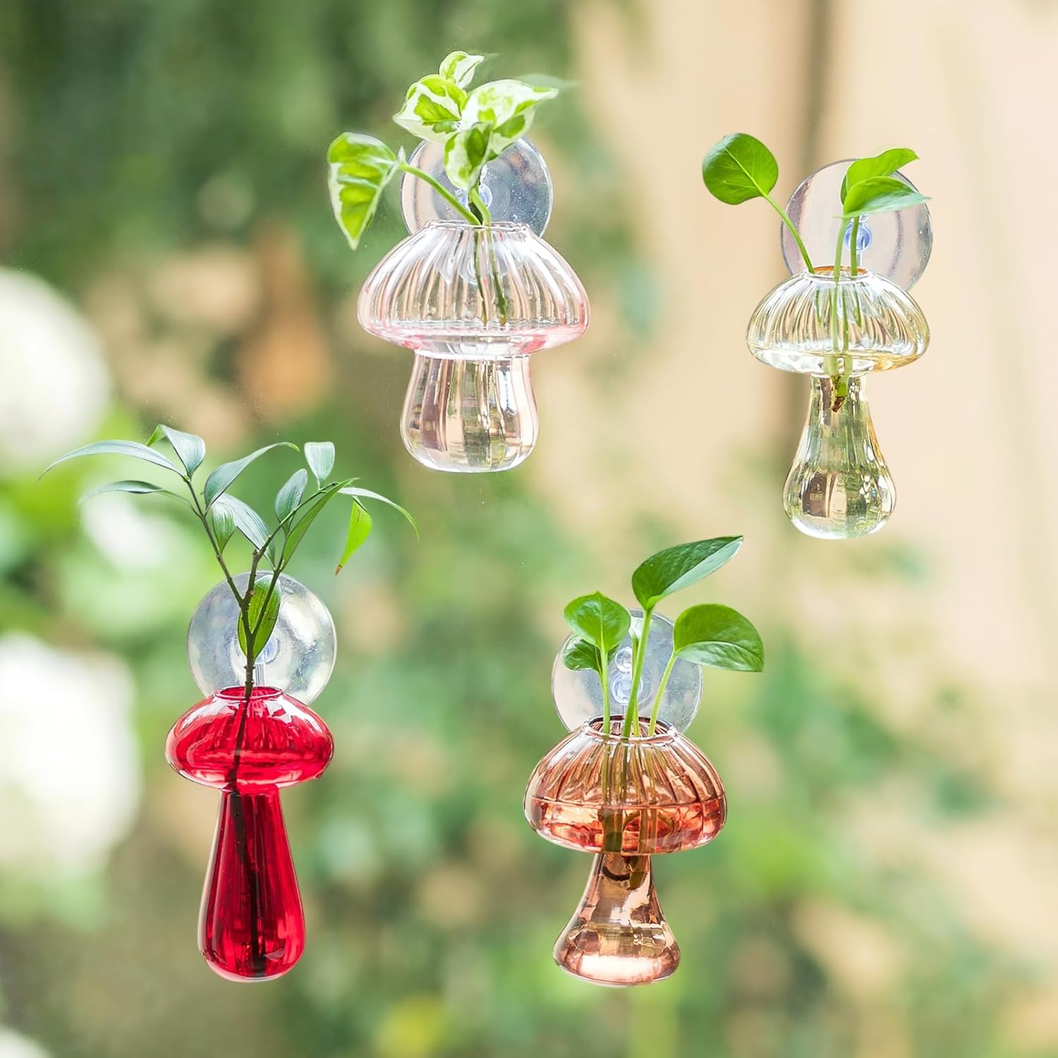 Glasseam Window Propagation Stations, 4Pcs Colored Mushroom Propagation Vases with Suckion Cups, Glass Wall Hanging Planter Terrariums for Flowers, Cute Indoor Small Plant Holder Gifts for Women