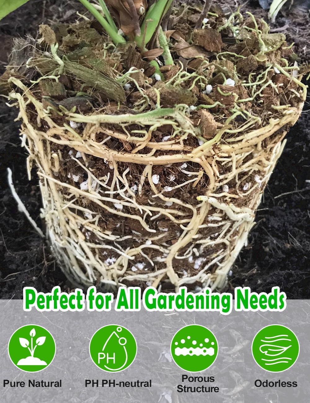 TOYPOPOR Perlite for Plants, 3-6mm Organic Perlite for Gardening, Perlite for Plants Indoor, Soil Additive Conditioner Mix Improve Drainage and Ventilation Promote Root Growth and Soil Health 1qt