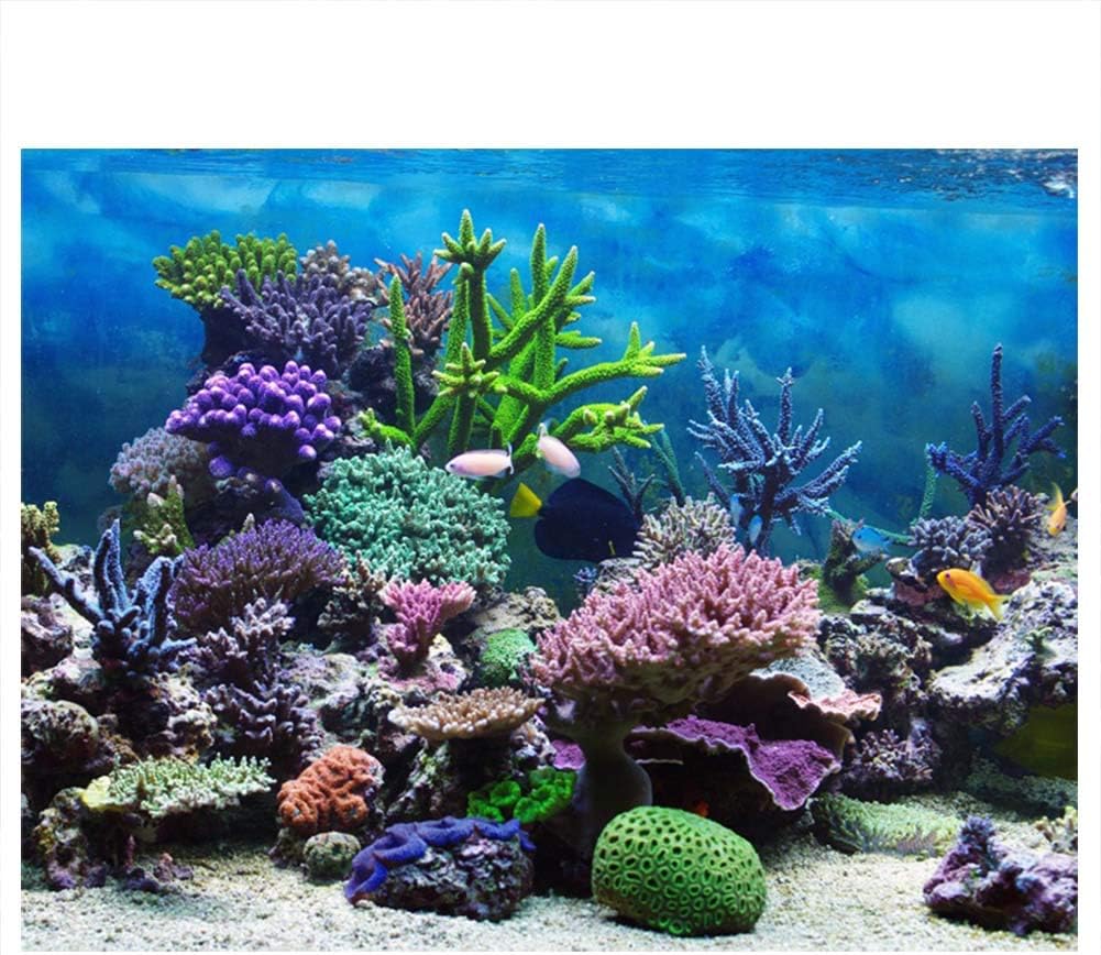 Keenso Aquarium Background,Fish Background,3D Aquarium Background,50 Gallon Fish, 50 Gallon Aquarium,Backdrop Decoration Paper Cling Sticker Pictures