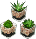 Briful Set of 3 Succulents Plants Artificial in Glass Pots Small Fake Succulents Plants Faux Plants Indoor for Home Office Table Desk Shelf Room Decor