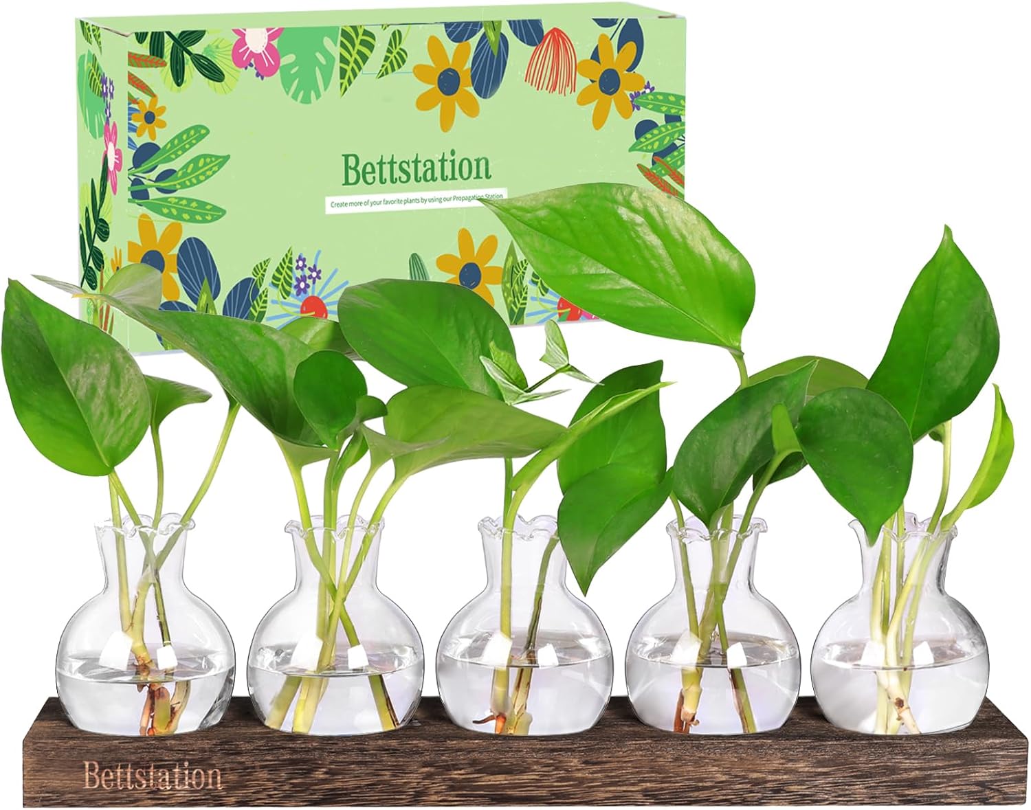 Plant Propagation Station, Plants Terrarium with Wooden Stand 5 Bulb Houseplants Glass Vase for Hydroponic Plants Gift for Plant Lovers Home Office Decor
