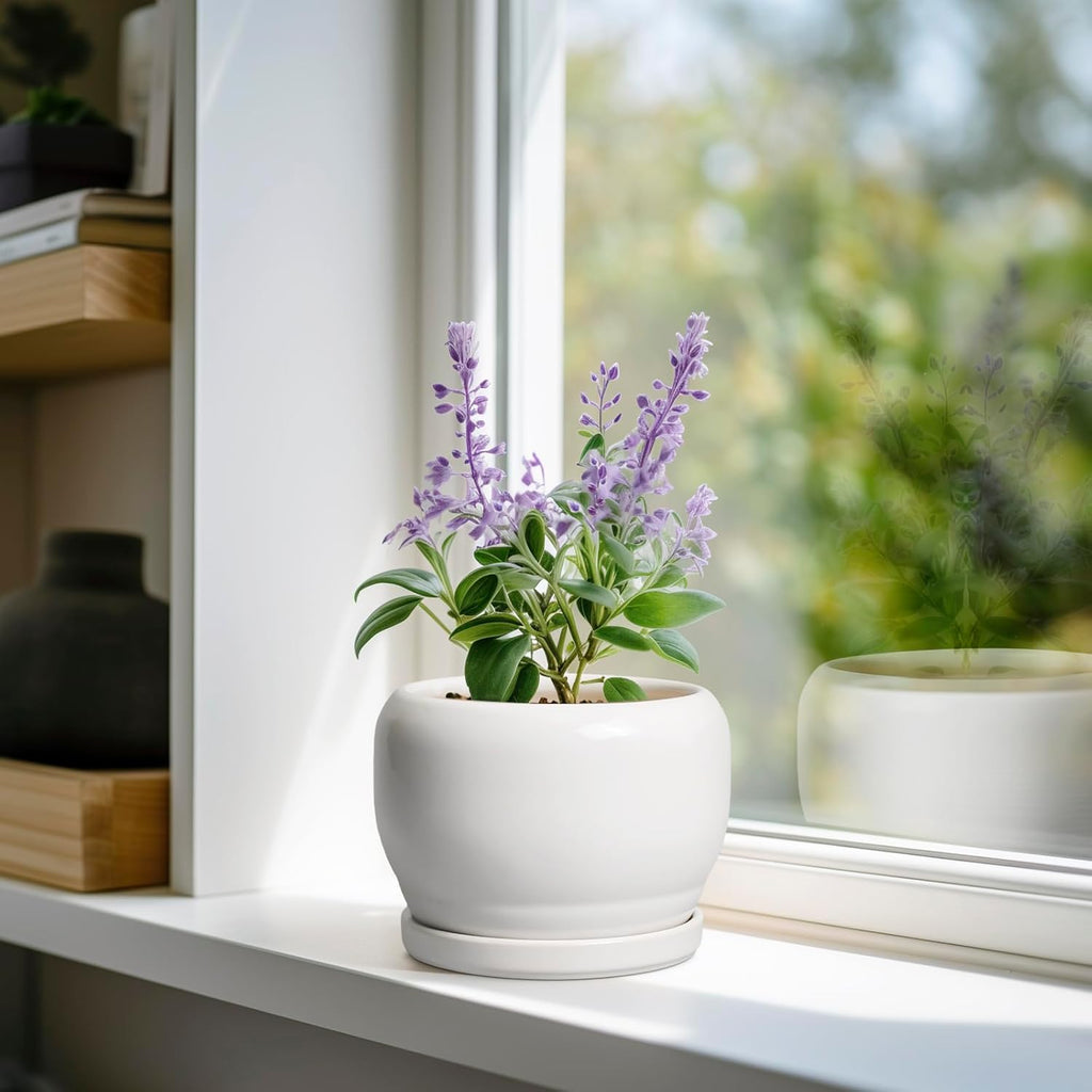 SQOWL Ceramic Flower Pots - 6 Inch Plant Pot Indoor Outdoor, Ceramic Planter with Drainage Hole and Saucer, Modern Round Succulent Planter, Bookshelf Decor, House Warming Gifts New Home, White