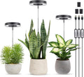 LORDEM Grow Light, Full Spectrum LED Plant Light for Indoor Plants, Height Adjustable Growing Lamp with Auto On/Off Timer, 4 Dimmable Brightness, Ideal for Small Plants, 3 Packs of Black