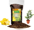 GARDENERA Premium Carambola Potting Soil Mix - Perfect Balance of Nutrients, Drainage, and Aeration for Thriving Starfruit Trees - 2 Quart