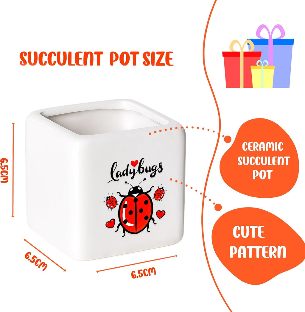 Ladybugs Succulent Planter Flower Plant Pot Small, Gifts for Women Teens Girls Kids, Ladybugs Lovers Themed Stuff Accessories Things Decor Merch, Home Office Table Desk Decoration!