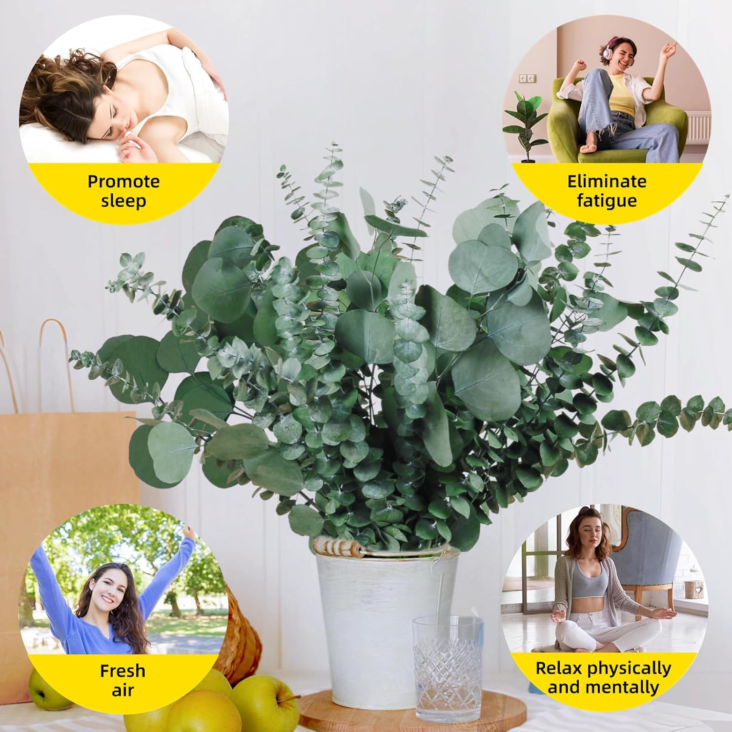 22 Pcs Large Dried Eucalyptus & Silver Dollar Leaves Bundle - Natural Real Fresh Eucalyptus, 17" Preserved Eucalyptus Stems for Shower Hanging, Bathroom Decor, Garland, Greenery Plant (22)