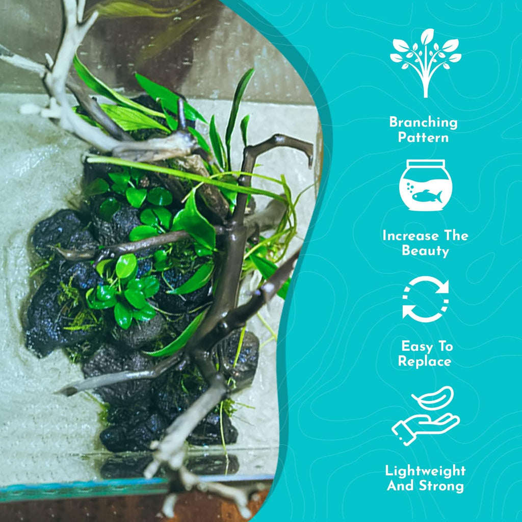 Live Aquarium Anubias Nana Petite Plant On Lava Rock - Absorb Impurities & Toxicness for Water - All Natural & Organic Aquatic Plant - Long Lasting & Easy to Care